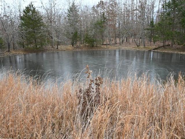 Land for sale in Howell, Missouri