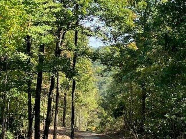 Land for sale in Reynolds, Missouri