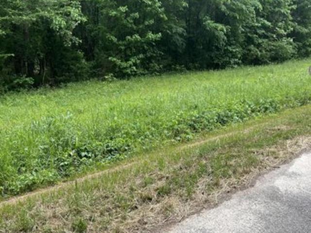 Land for sale in Ninety Six, South Carolina