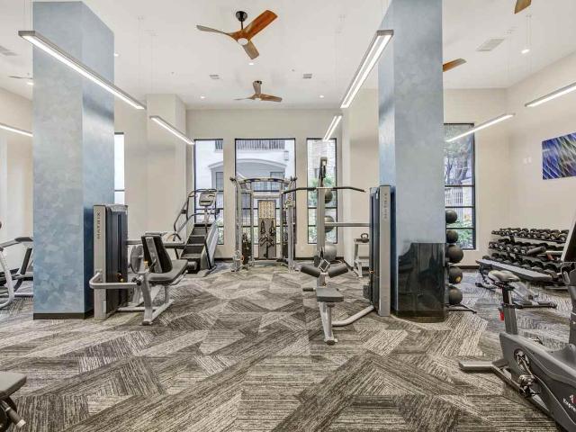 Apartment for rent in Dallas, Texas