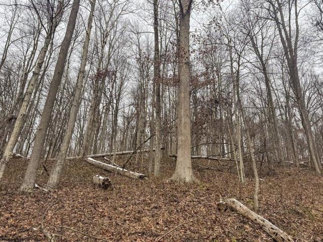 Farm for sale in West Virginia