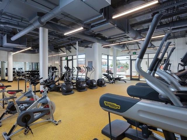 Apartment for rent in San Mateo, California