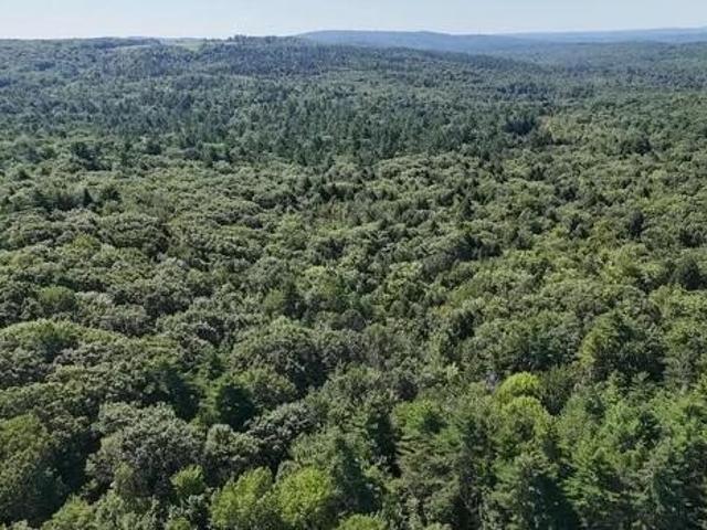 Land for sale in Hebron, Maine