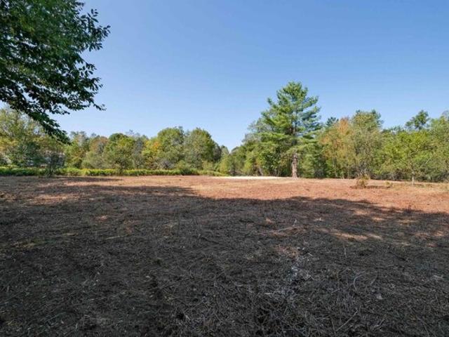 Land for sale in Mount Holly, Vermont