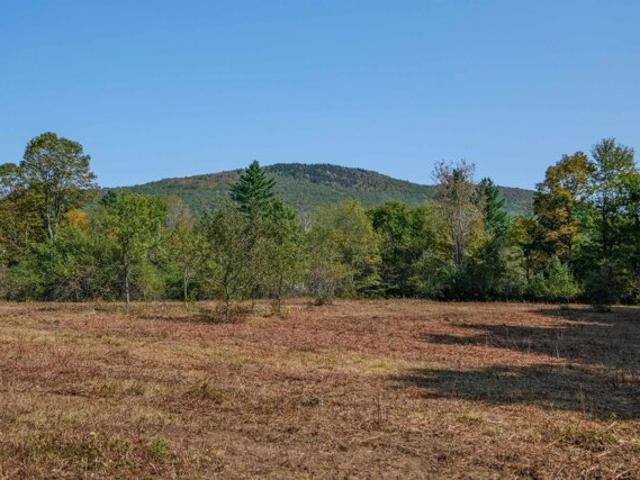 Land for sale in Mount Holly, Vermont