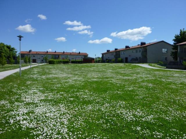 Lägenhet hyra i Slite, Gotland