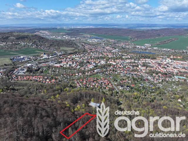 Erdgeschosswohnung kaufen in Sondershausen, Thüringen
