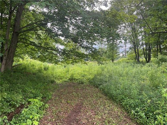 Farm for sale in Groton, New York