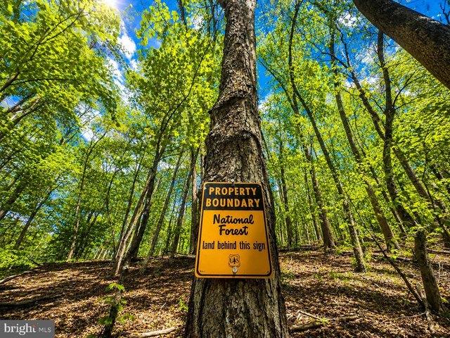 Land for sale in Durbin, West Virginia