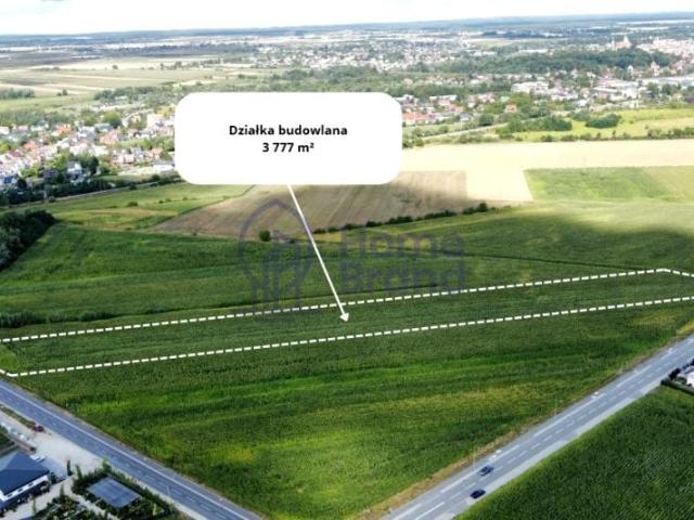 Grunt na sprzedaż w Oleśnica, Dolnośląskie