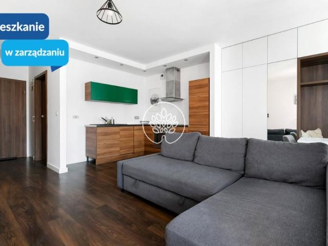 Mieszkanie do wynajęcia w Bydgoszcz, Kujawsko-pomorskie