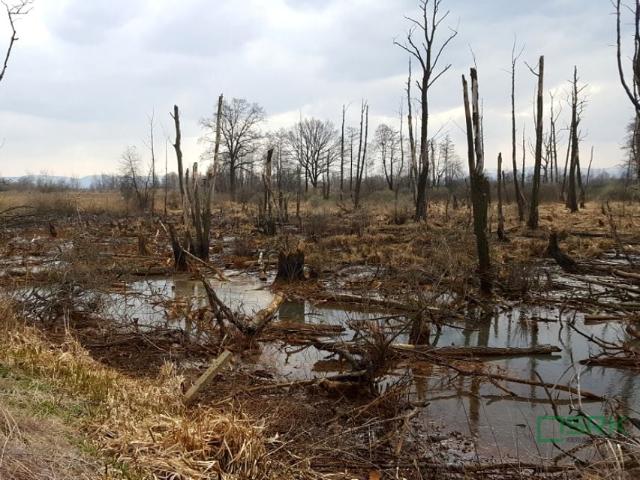 Grunt na sprzedaż w Goczałkowice-zdrój, Śląskie