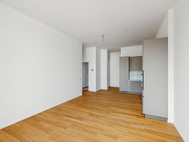 Apartment mieten in Locarno Monti, Locarno
