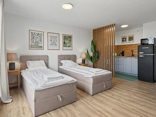 Apartment mieten in Leipziger Vorstadt, Dresden