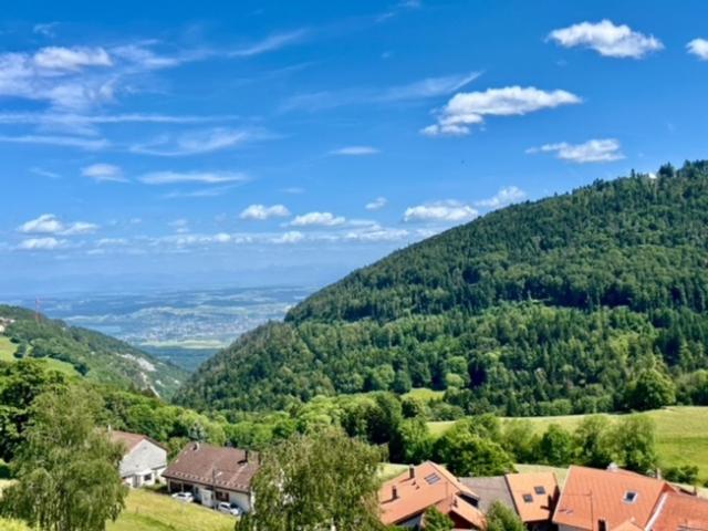 Wohnung kaufen in Sainte-Croix, Waadt