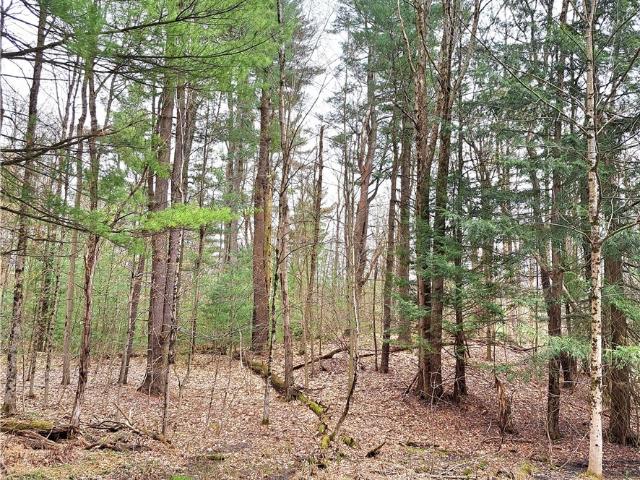 Land for sale in Oneida, New York