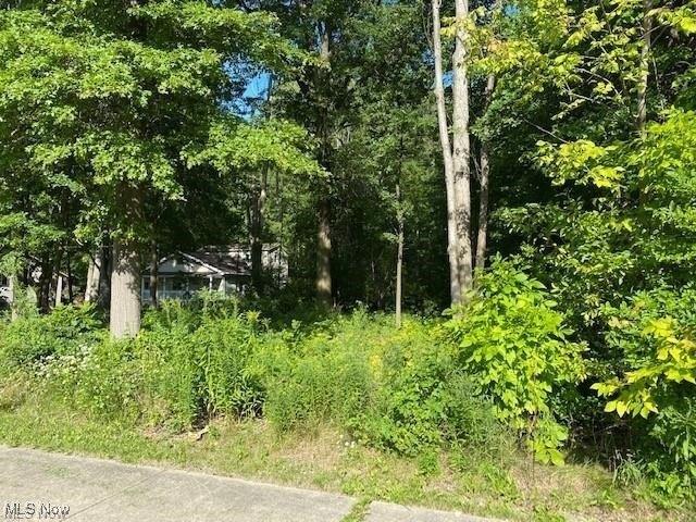 Land for sale in North Olmsted