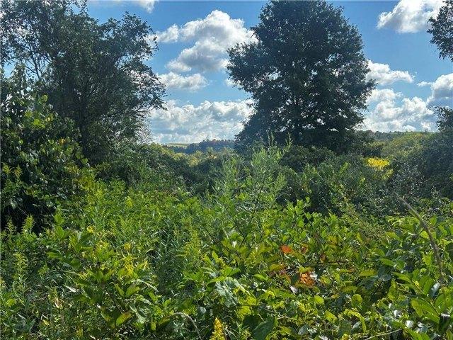 Farm for sale in Grindstone, Pennsylvania