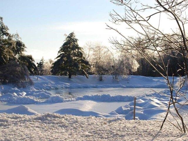 Condo for sale in New Hampshire