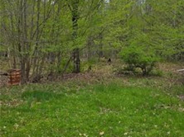 Land for sale in Williamstown, New York
