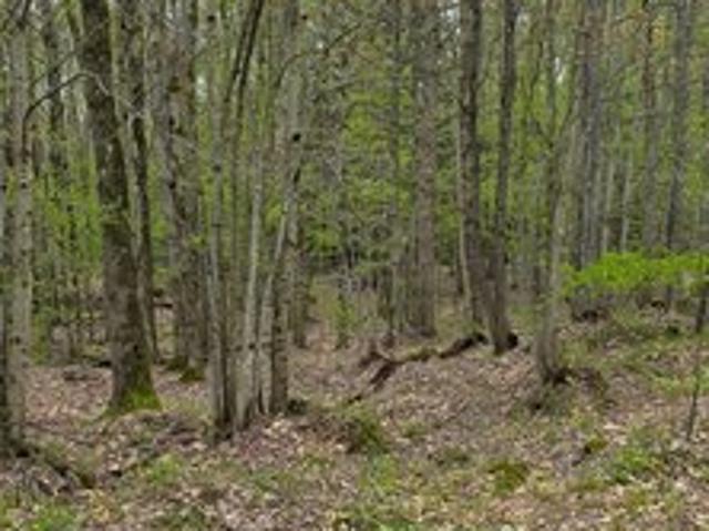 Land for sale in Williamstown, New York