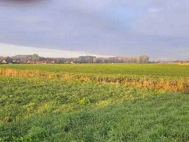 Terrain vente à Steenvoorde, Nord