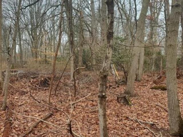 Land for sale in Saint James