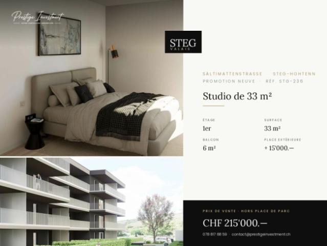 Wohnung kaufen in Steg (VS), Wallis