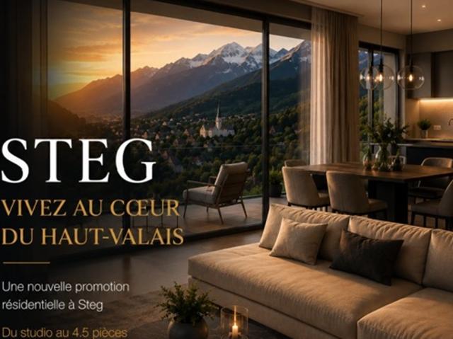 Wohnung kaufen in Steg (VS), Wallis