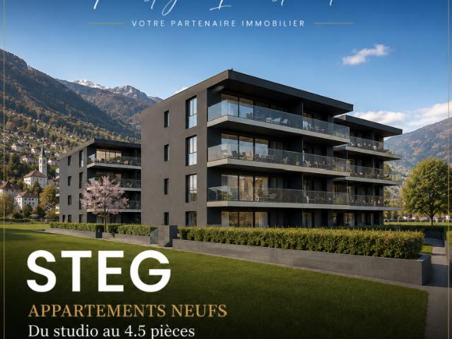 Wohnung kaufen in Steg (VS), Wallis