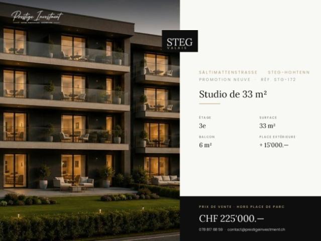 Wohnung kaufen in Steg (VS), Wallis