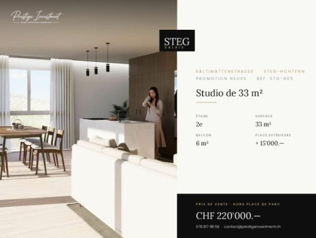 Wohnung kaufen in Steg (VS), Wallis
