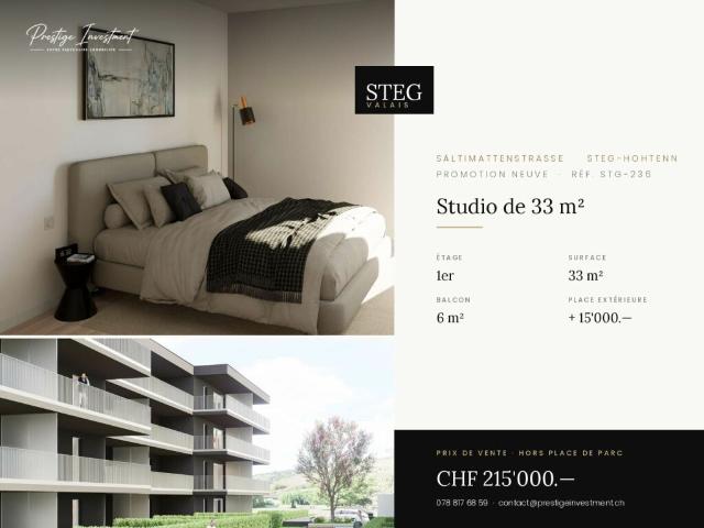 Wohnung kaufen in Steg (VS), Wallis