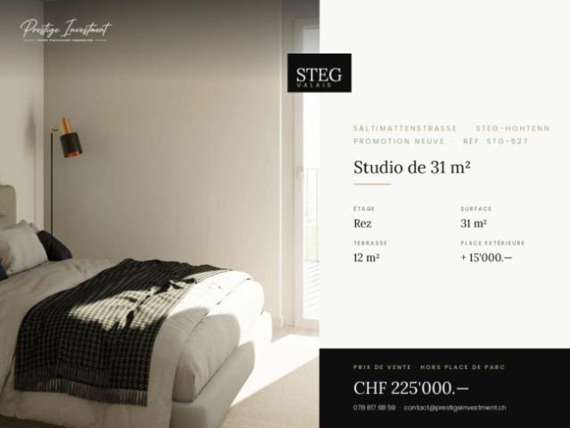 Wohnung kaufen in Steg (VS), Wallis