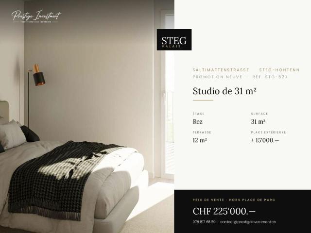 Wohnung kaufen in Steg (VS), Wallis