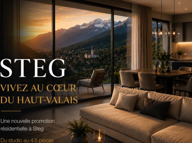 Wohnung kaufen in Steg (VS), Wallis