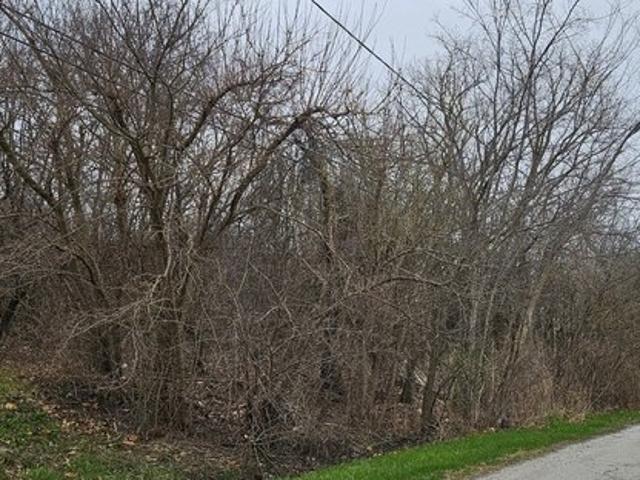 Land for sale in Steger, Cook County