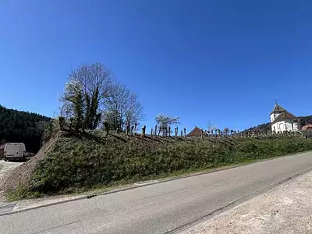 Terrain vente à Sélestat-Erstein, Steige