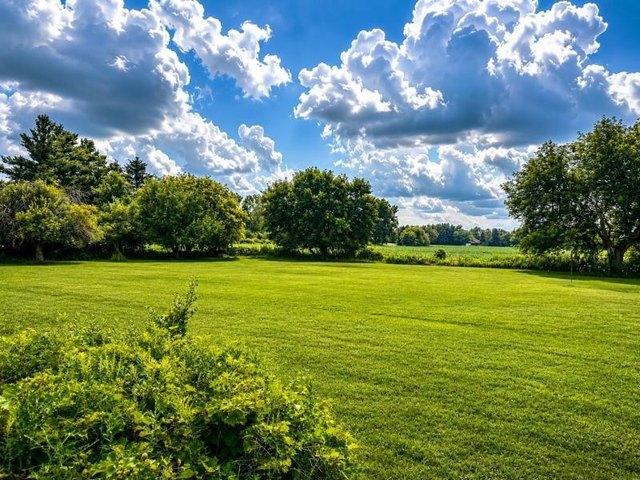 Land for sale in Bad Axe, Michigan