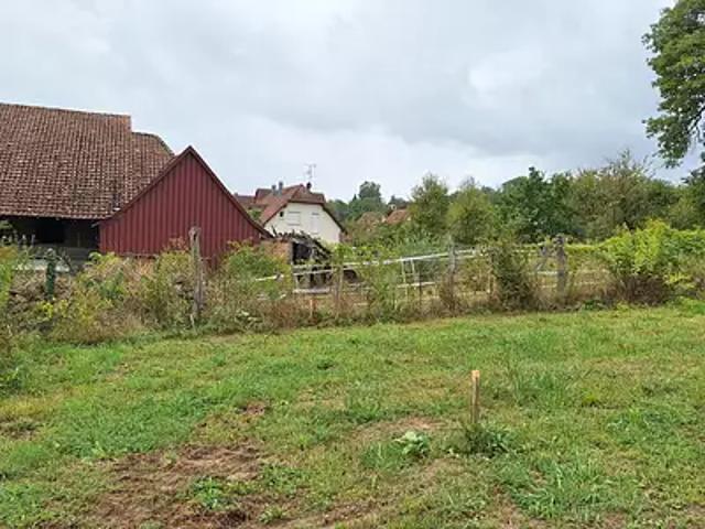 Terrain vente à Steinbrunn-le-Haut, Collectivité européenne d'Alsace