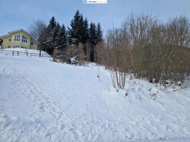 Grundstück kaufen in Spital am Semmering, Steiermark