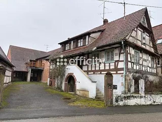 Maison vente à Haguenau-Wissembourg, Steinseltz