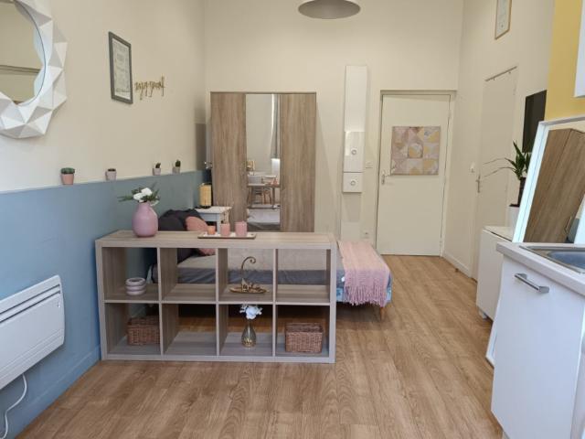 Studio location à France métropolitaine, Saint-etienne