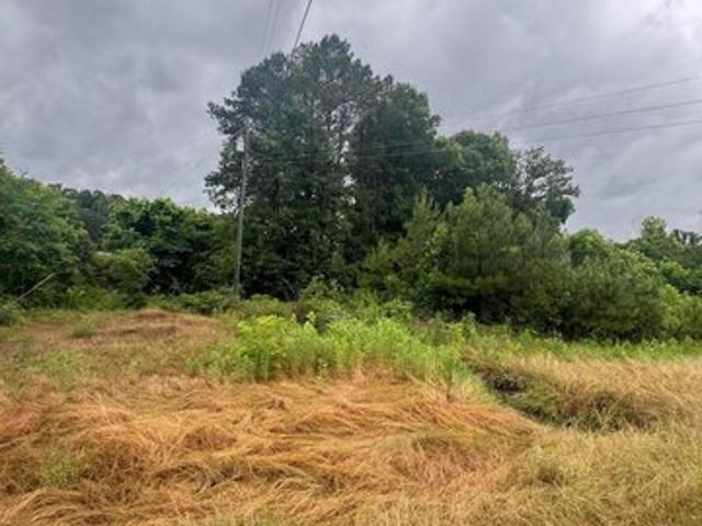 Land for sale in Cordova, Alabama
