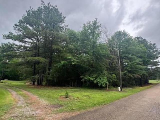 Land for sale in Cordova, Alabama