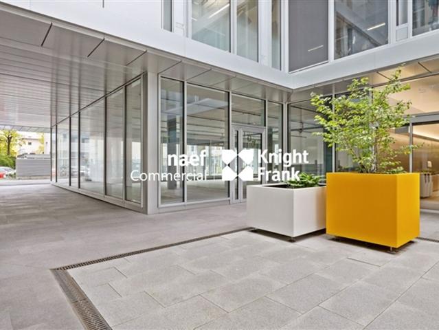 Atelier mieten in Carouge (GE)