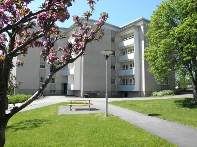 Lägenhet hyra i Alvesta, Kronoberg