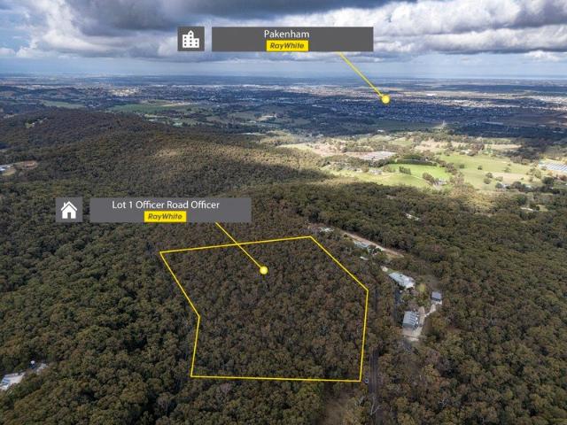 Land for sale in Camerons Creek, Victoria