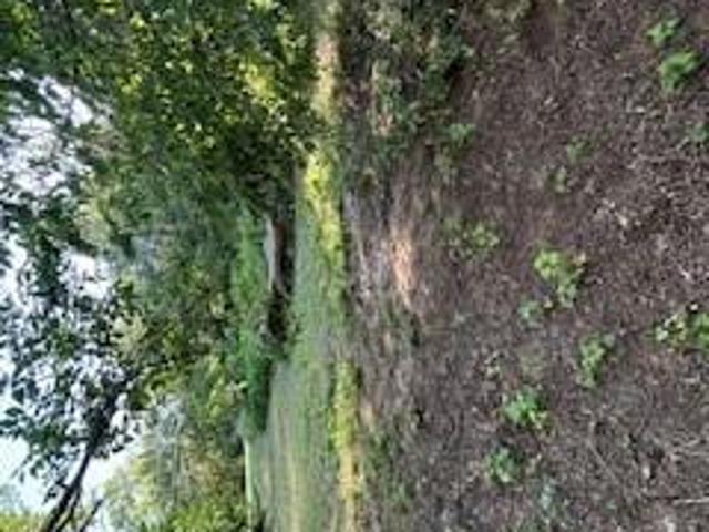Land for sale in Duncan