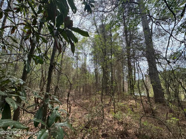 Land for sale in Newton, Mississippi